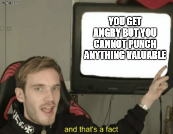 and that's a fact | YOU GET ANGRY BUT YOU CANNOT PUNCH ANYTHING VALUABLE | image tagged in and that's a fact | made w/ Imgflip meme maker