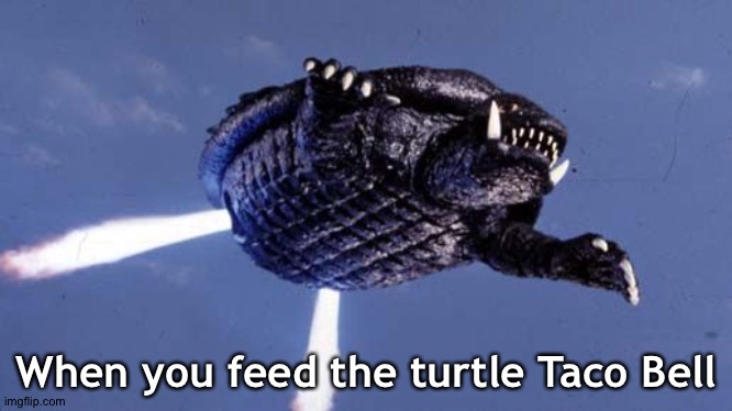 And so Gamera was born | When you feed the turtle Taco Bell | image tagged in gamera | made w/ Imgflip meme maker