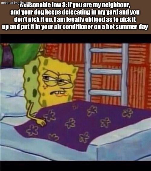 SpongeBob waking up  | Reasonable law 3: if you are my neighbour, and your dog keeps defecating in my yard and you don’t pick it up, I am legally obliged as to pick it up and put it in your air conditioner on a hot summer day | image tagged in spongebob waking up | made w/ Imgflip meme maker