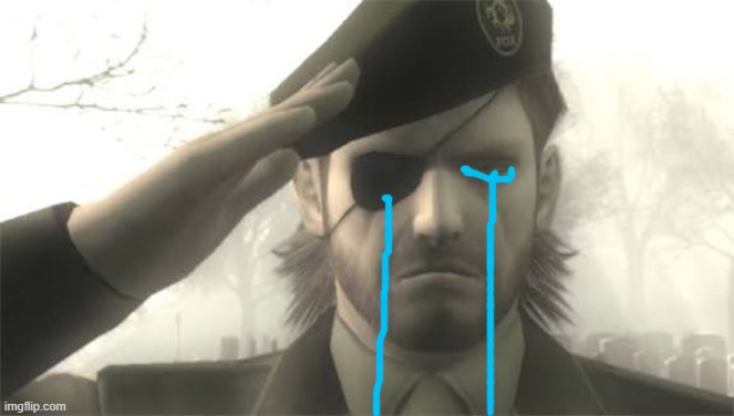 Snake salute | image tagged in snake salute | made w/ Imgflip meme maker