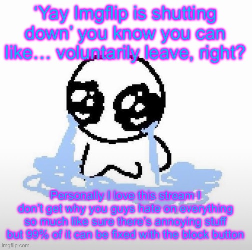 Me when | ‘Yay Imgflip is shutting down’ you know you can like… voluntarily leave, right? Personally I love this stream I don’t get why you guys hate on everything so much like sure there’s annoying stuff but 99% of it can be fixed with the block button | image tagged in me when | made w/ Imgflip meme maker