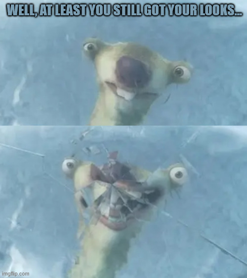 Poor Sid | WELL, AT LEAST YOU STILL GOT YOUR LOOKS... | image tagged in ice age,dark humo,sid,lattice climbing,climbing,latticeclimbing | made w/ Imgflip meme maker