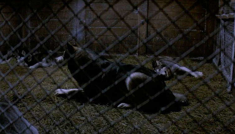 THE THING Blank Meme Template