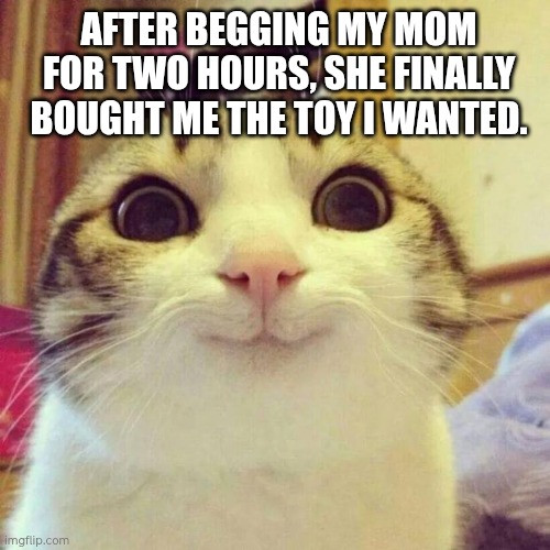 Smiling Cat | AFTER BEGGING MY MOM FOR TWO HOURS, SHE FINALLY BOUGHT ME THE TOY I WANTED. | image tagged in memes,smiling cat | made w/ Imgflip meme maker