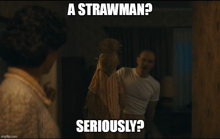 Strawman | A STRAWMAN? SERIOUSLY? | image tagged in strawman,stupid,argument | made w/ Imgflip meme maker