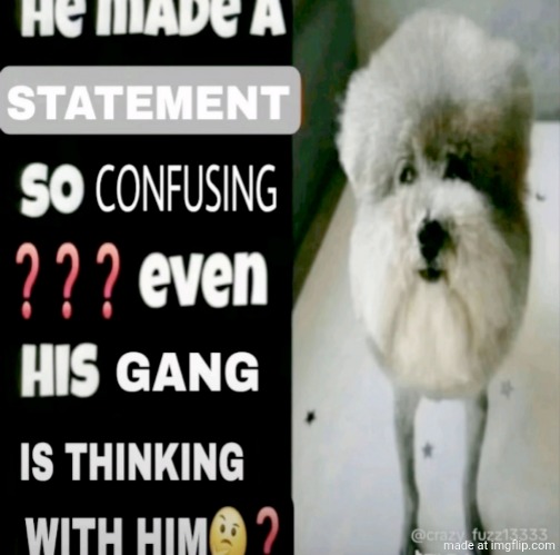 He made a statement so confusing | image tagged in he made a statement so confusing | made w/ Imgflip meme maker