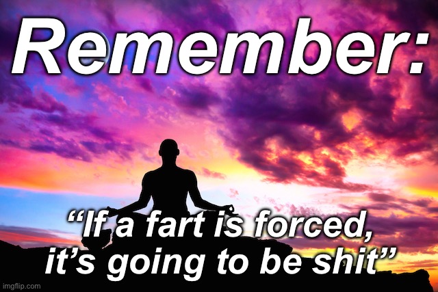 Peak writing | Remember:; “If a fart is forced, it’s going to be shit” | image tagged in meditation | made w/ Imgflip meme maker