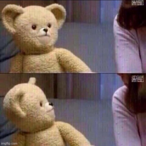 shocked bear | image tagged in shocked bear | made w/ Imgflip meme maker