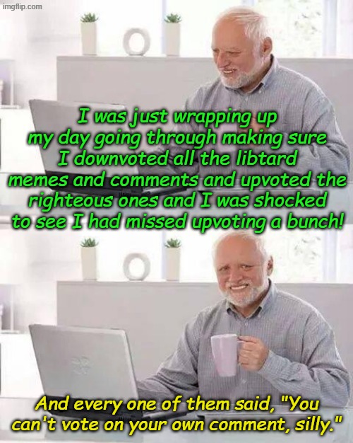 Oops, can't blame a guy for trying. | I was just wrapping up my day going through making sure I downvoted all the libtard memes and comments and upvoted the righteous ones and I was shocked to see I had missed upvoting a bunch! And every one of them said, "You can't vote on your own comment, silly." | image tagged in memes,hide the pain harold | made w/ Imgflip meme maker