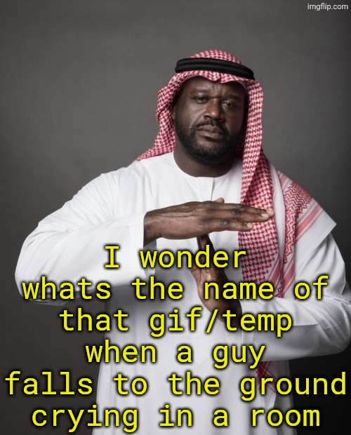 Arab shaq timeout | I wonder whats the name of that gif/temp when a guy falls to the ground crying in a room | image tagged in arab shaq timeout | made w/ Imgflip meme maker