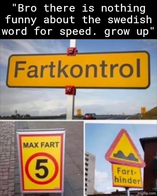 Language problems | "Bro there is nothing funny about the swedish word for speed. grow up" | image tagged in speed,fart,sweden,swedish,sfw,when the | made w/ Imgflip meme maker
