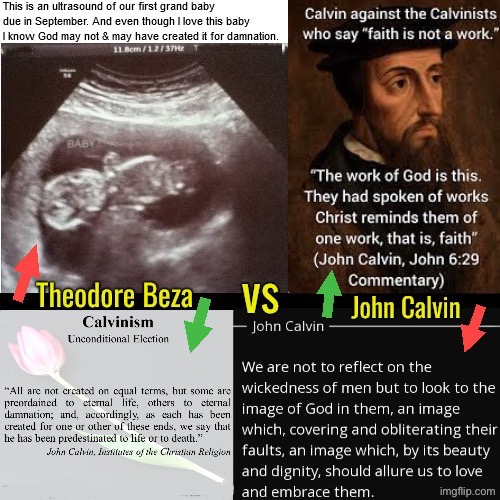 Beza was the monster not Calvin | image tagged in calvinism,calvinist memes,anti calvinism,reformed theology,john calvin vs theodore beza,monster hunter | made w/ Imgflip meme maker
