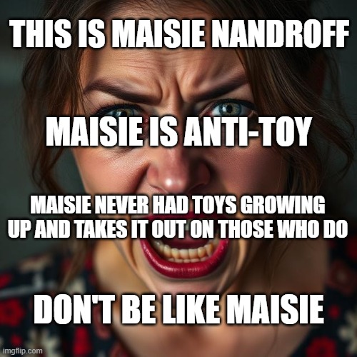 Anti-Toy Part 2 | THIS IS MAISIE NANDROFF; MAISIE IS ANTI-TOY; MAISIE NEVER HAD TOYS GROWING UP AND TAKES IT OUT ON THOSE WHO DO; DON'T BE LIKE MAISIE | image tagged in toy,toys,anti,don't be,don't be like,don't be like maisie | made w/ Imgflip meme maker