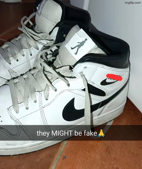 They MIIIIIIIIGHT be fake :fingers-crossed: | made w/ Imgflip meme maker