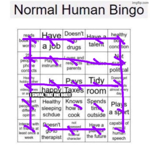 Could've gotten all of 'em. | I SWEAR, THAT ONE BOX!!! | image tagged in normal human bingo,memes,unfunny,bingoes,im normal eh | made w/ Imgflip meme maker