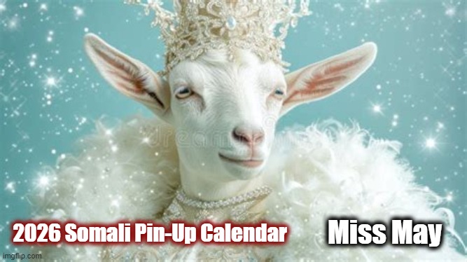 2026 Somali Pin-Up Calendar Miss May | made w/ Imgflip meme maker