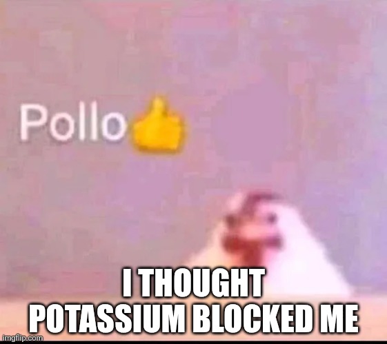 Pollo | I THOUGHT POTASSIUM BLOCKED ME | image tagged in pollo | made w/ Imgflip meme maker