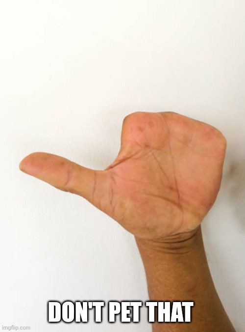 Missing fingers | DON'T PET THAT | image tagged in missing fingers | made w/ Imgflip meme maker