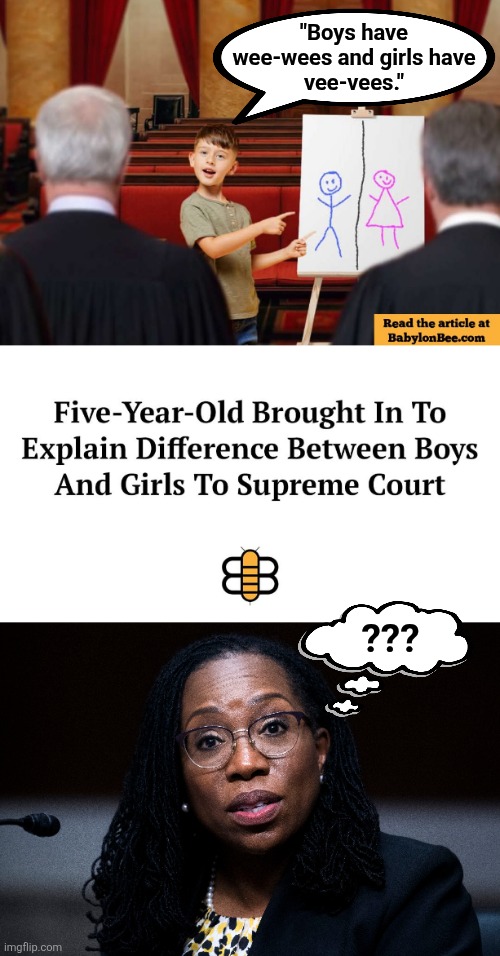 The Babylon Bee leaves KBJ thoroughly confused | "Boys have
wee-wees and girls have
vee-vees."; ??? | image tagged in memes,babylon bee,ketanji brown jackson,democrats,man,woman | made w/ Imgflip meme maker