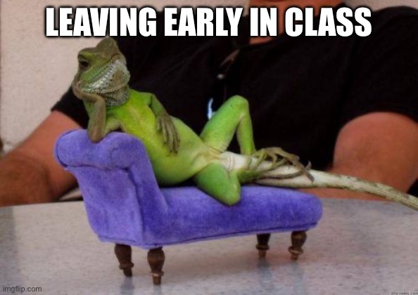 Sassy Iguana Meme | LEAVING EARLY IN CLASS | image tagged in memes,sassy iguana | made w/ Imgflip meme maker