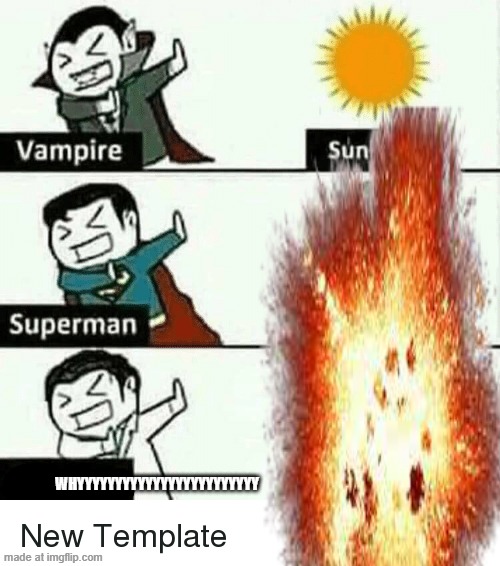 My fun meme | WHYYYYYYYYYYYYYYYYYYYYYYYY | made w/ Imgflip meme maker