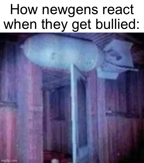 How newgens react when they get bullied: | made w/ Imgflip meme maker