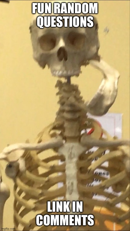 FUN RANDOM QUESTIONS; LINK IN COMMENTS | image tagged in questions,run,random | made w/ Imgflip meme maker