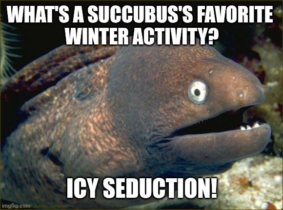 Bad Joke Eel | WHAT'S A SUCCUBUS'S FAVORITE 
WINTER ACTIVITY? ICY SEDUCTION! | image tagged in bad joke eel,succubus,puns,image macro,fish | made w/ Imgflip meme maker