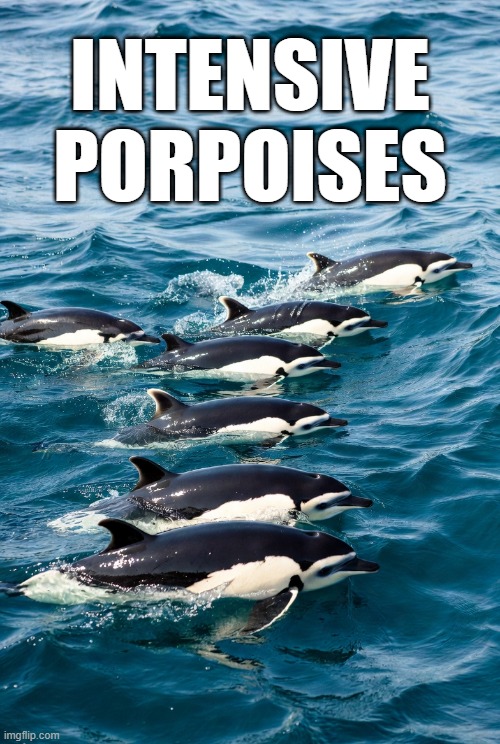 Porpoises | INTENSIVE PORPOISES | image tagged in porpoises | made w/ Imgflip meme maker