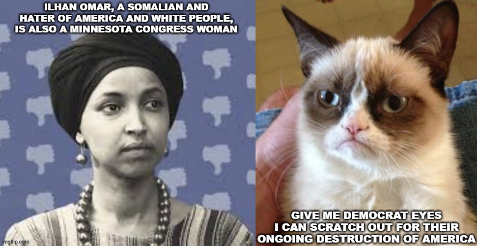 Ilhan Omar | ILHAN OMAR, A SOMALIAN AND HATER OF AMERICA AND WHITE PEOPLE, IS ALSO A MINNESOTA CONGRESS WOMAN; GIVE ME DEMOCRAT EYES I CAN SCRATCH OUT FOR THEIR ONGOING DESTRUCTION OF AMERICA | image tagged in minnesota,maga | made w/ Imgflip meme maker