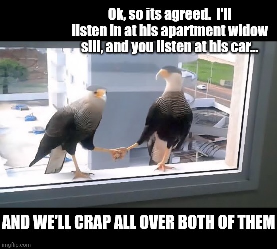 Ok, so its agreed.  I'll listen in at his apartment widow sill, and you listen at his car... AND WE'LL CRAP ALL OVER BOTH OF THEM | made w/ Imgflip meme maker