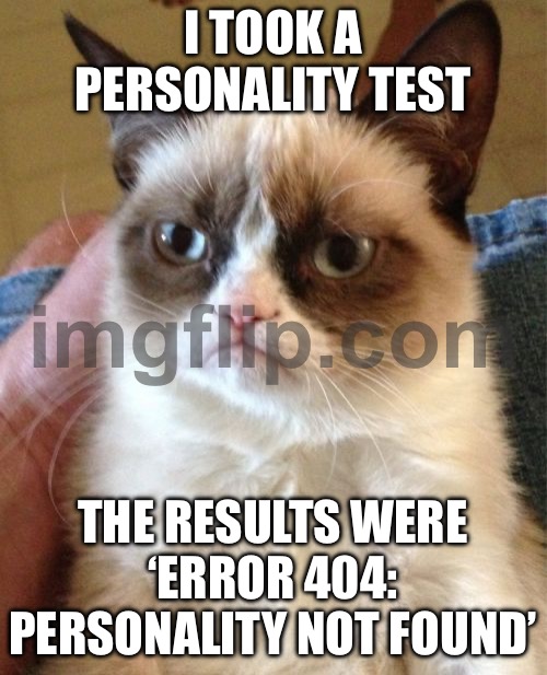 I TOOK A PERSONALITY TEST; THE RESULTS WERE ‘ERROR 404: PERSONALITY NOT FOUND’ | I TOOK A PERSONALITY TEST; THE RESULTS WERE ‘ERROR 404: PERSONALITY NOT FOUND’ | image tagged in memes,grumpy cat,error,personality,cat memes,grumpy cat not amused | made w/ Imgflip meme maker