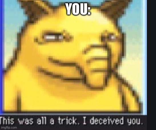 This was all a trick. I deceived you. | YOU: | image tagged in this was all a trick i deceived you | made w/ Imgflip meme maker