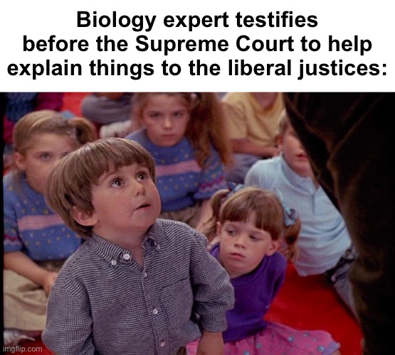 Biology expert | Biology expert testifies before the Supreme Court to help explain things to the liberal justices: | image tagged in kindergarten cop kid,politics lol,derp,progressives,memes | made w/ Imgflip meme maker