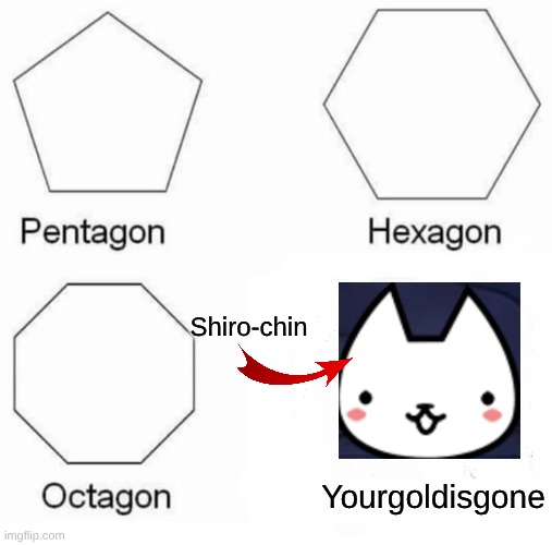 Cats the Commander in a nutshell | Shiro-chin; Yourgoldisgone | image tagged in memes,pentagon hexagon octagon | made w/ Imgflip meme maker
