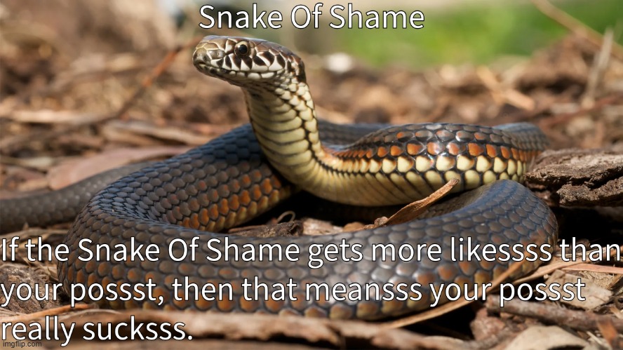 Snake Of Ssssshame | image tagged in snake of ssssshame | made w/ Imgflip meme maker