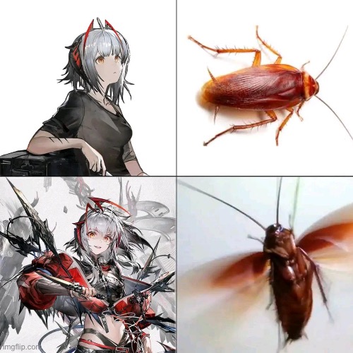ugly roach | made w/ Imgflip meme maker