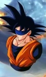 blind amputated goku Blank Meme Template