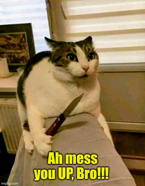 Cat With Knife | Ah mess you UP, Bro!!! | image tagged in cat with knife | made w/ Imgflip meme maker