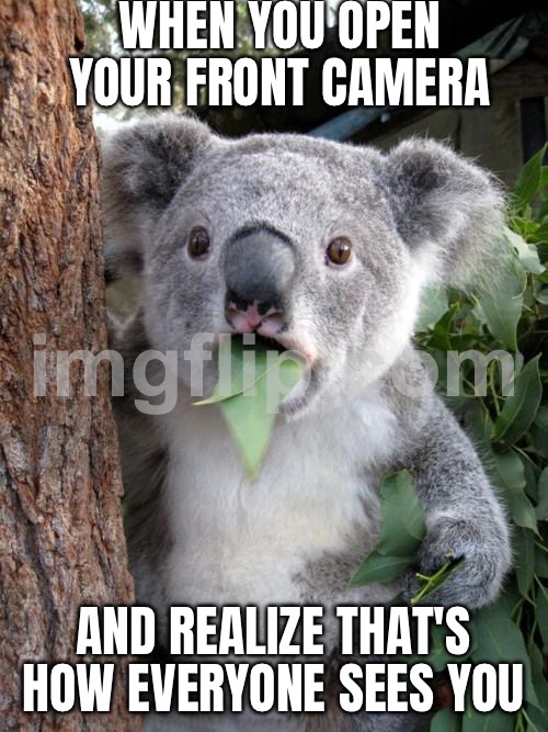 WHEN YOU OPEN YOUR FRONT CAMERA; AND REALIZE THAT'S HOW EVERYONE SEES YOU | WHEN YOU OPEN YOUR FRONT CAMERA; AND REALIZE THAT'S HOW EVERYONE SEES YOU | image tagged in memes,surprised koala,existentialism,camera,face,health | made w/ Imgflip meme maker