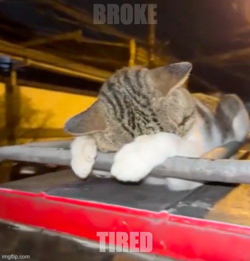 Tired Cat | BROKE; TIRED | image tagged in tired cat | made w/ Imgflip meme maker