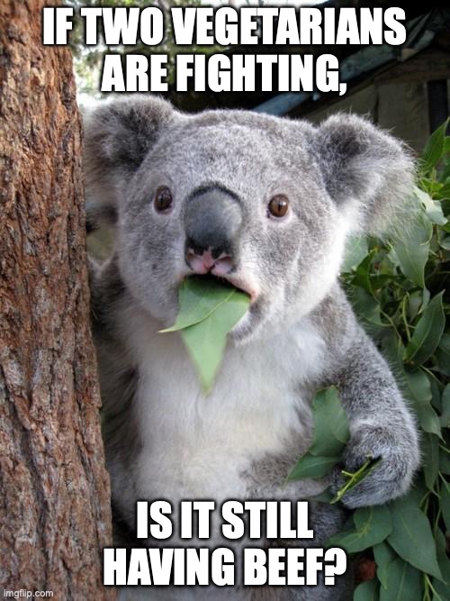 Surprised Koala Meme | IF TWO VEGETARIANS ARE FIGHTING, IS IT STILL HAVING BEEF? | image tagged in memes,surprised koala | made w/ Imgflip meme maker