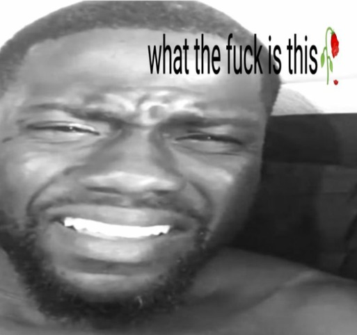 wtfit Blank Meme Template