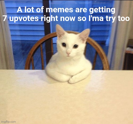 sit down human | A lot of memes are getting 7 upvotes right now so I'ma try too | image tagged in sit down human,memes,experiment,upvotes,7,flick7 reference11111 | made w/ Imgflip meme maker
