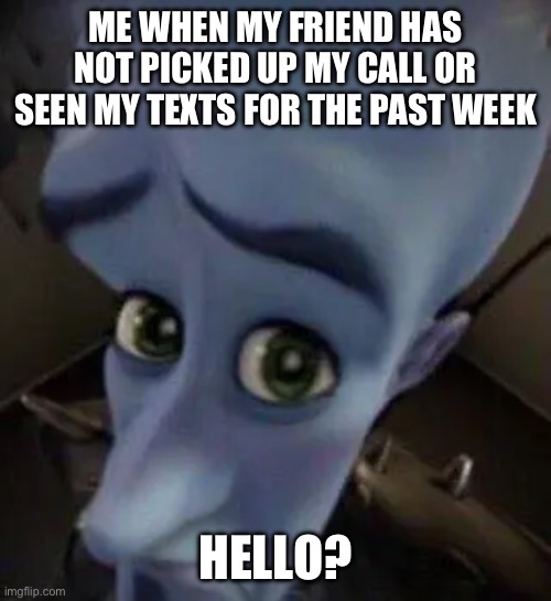 megamind no b | ME WHEN MY FRIEND HAS NOT PICKED UP MY CALL OR SEEN MY TEXTS FOR THE PAST WEEK; HELLO? | image tagged in megamind no b | made w/ Imgflip meme maker