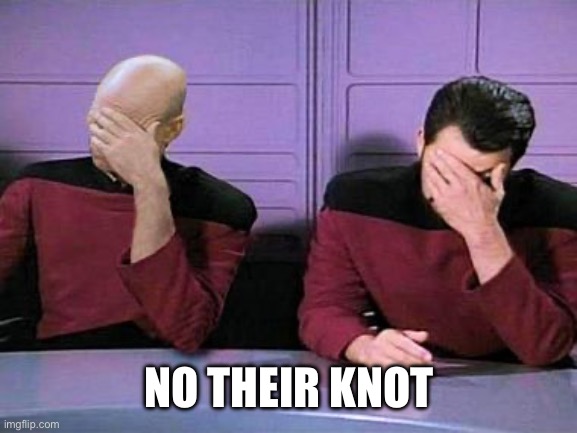 double palm | NO THEIR KNOT | image tagged in double palm | made w/ Imgflip meme maker