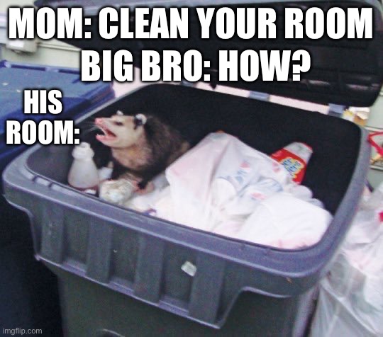 Awesome Opossum | BIG BRO: HOW? MOM: CLEAN YOUR ROOM; HIS ROOM: | image tagged in awesome opossum | made w/ Imgflip meme maker
