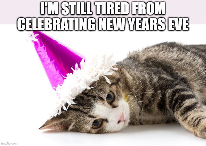 This cat is still tired from celebrating the New Year !! | I'M STILL TIRED FROM CELEBRATING NEW YEARS EVE | image tagged in cat,kittens,funny,humor,new years,new year | made w/ Imgflip meme maker