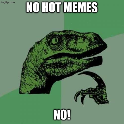IDK WHAT TO CALL THIS | NO HOT MEMES; NO! | image tagged in memes,philosoraptor | made w/ Imgflip meme maker