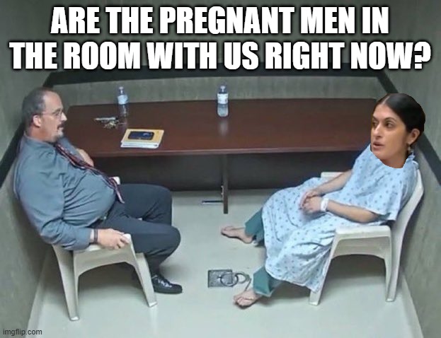 Are they in the room with us right now? | ARE THE PREGNANT MEN IN THE ROOM WITH US RIGHT NOW? | image tagged in are they in the room with us right now | made w/ Imgflip meme maker